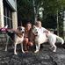 Babs Wagner - Facebook
