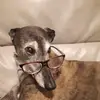 babs - @babswright2 - TikTok