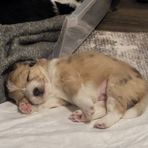 Babs Wright - Facebook
