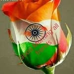 Pankaj Kumar Yadav - @babunarayan.yadav.58 - Instagram