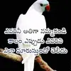 Narra Babu - @narrababu - TikTok