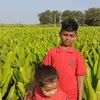 Babu Reddy - @babureddy154 - TikTok