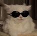 Bach Bui - Facebook