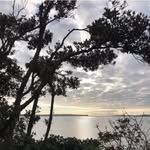 William Bui - @bach.bui - Instagram