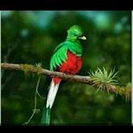 Bachir Yahia - @bachir.yahia.372 - Instagram