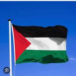 Bachir Yahiaoui - @bachiryahiaoui - Instagram