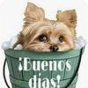 leonbacilio - @leonbacilio - TikTok