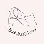 Backstreet Paws - @backstreet.paws - Instagram