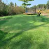 Backyard Green Superintendant - @backyard.green.su - TikTok