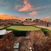 Backyard Greens - Facebook