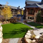 Backyard Greens Northwest - @backyardgreensnw - Instagram