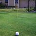 Backyard Putting Greens - Facebook