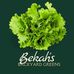 Bekah's Backyard Greens - Facebook