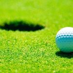 Bentgrass Backyard Greens - @bentgrassgreens - Instagram
