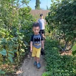 My Backyard Greens by Lily - @my_backyard_greens - Instagram