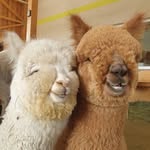 Mary sinclair - @bacon_cheese_ketos_a_breeze - Instagram