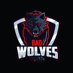 𝐁𝐚𝐝 𝐖𝐨𝐥𝐯𝐞𝐬 🦊 - @_bad_wolves._ - Instagram
