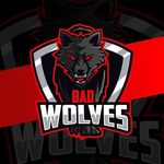 🌀 B4D WOLVES 🌀 - @bad_wolves.ff - Instagram