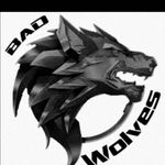 Bad wolves - @team_badwolves - Instagram