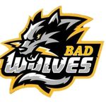 Bad Wolves 🐺 - @badwolvesfc - Instagram