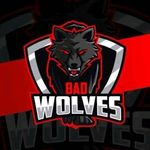 Bad Wolves Esport - @badwolves_esport - Instagram