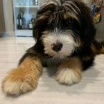 @kirb_drew.the.big.bad.wolves - Instagram