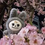 bada - @bada_hongstar - Instagram