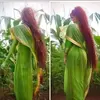 fatmawati7443 - @badahong02 - TikTok