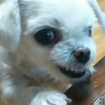Hong Bada - @hong._.bada - Instagram