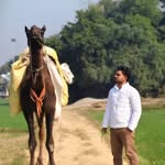 Badal Ali Khan - @amjadali8382 - Instagram