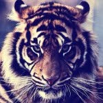 badar Alotaibi - @0bader0_ - Instagram