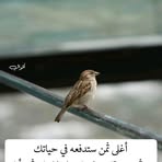 Badar Anwar - Facebook