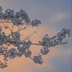 Badar Habib - @badarhabib41 - Instagram