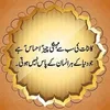 Badar Iqbal - @badar.iqbal732 - TikTok