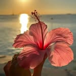 Badar Jahan - @badarjahan1920 - Instagram
