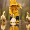 Badar Jahan - @badarjahan2 - TikTok