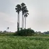 Badar Jahan - @badarjahan0 - TikTok