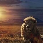 Badar Saeed - @badar7308 - Instagram