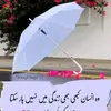 badar shah - @badarshah706 - TikTok