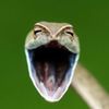 Bader Alkhaldi - @baderalkhaldi06 - TikTok