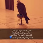 @bade.ralsanea - Instagram