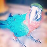 bader_alsanea - @bader_alsanea27 - Instagram