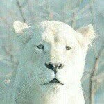 bader - @baderasad46 - Instagram
