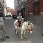 Bader khalil - @baderkhalik - Instagram