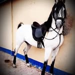 bader khalil - @baderkhalil2468 - Instagram
