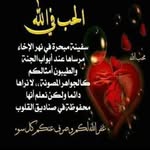 Khalil Bader - @bader.khalil - Instagram