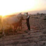 Bader Masoud - @bader_masoud - Instagram
