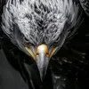 Bahar Hasan345 - @baharhasan3452 - TikTok