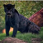 Hasan Bahar - @bahar.hasan - Instagram