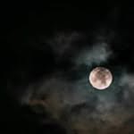 BAHAR - @bahar_moradi.70 - Instagram